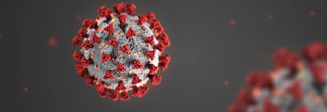What Does The Coronavirus Do To Your Body? Everything To Know About The Infection Process