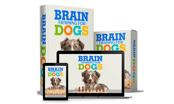 Brain-Training-For-Dogs-review