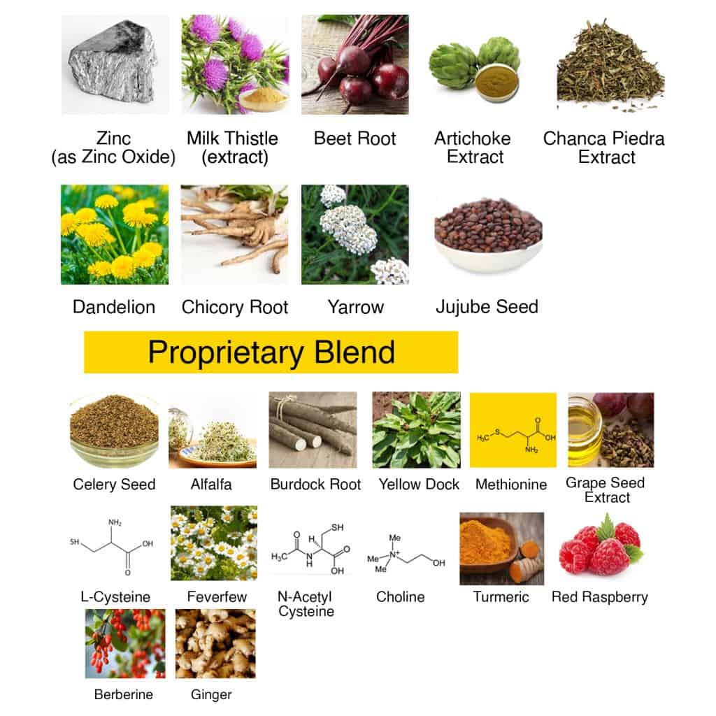 Leptitox ingredients