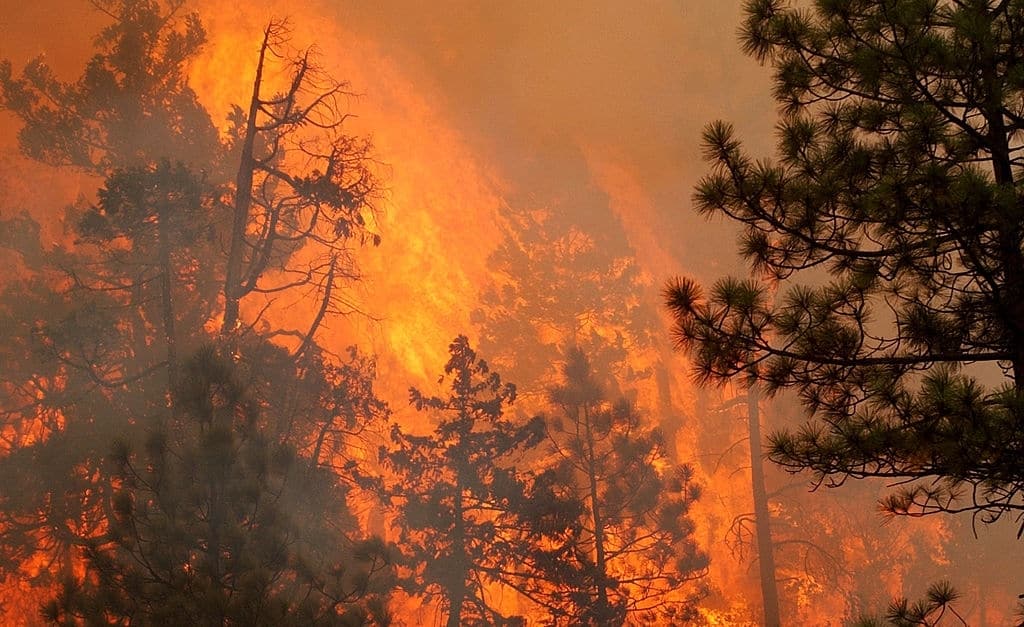 In Oregon, firefighters are racing and trying to slow down the two wildfires. The wildfires are merging and becoming as single inferno on Friday