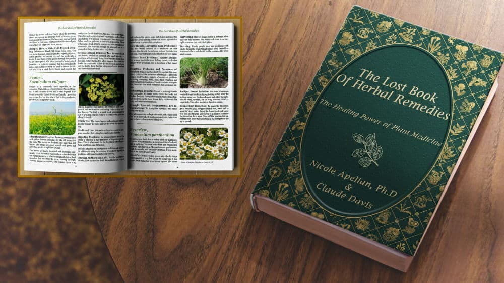 The Lost Book of Remedies ebook
