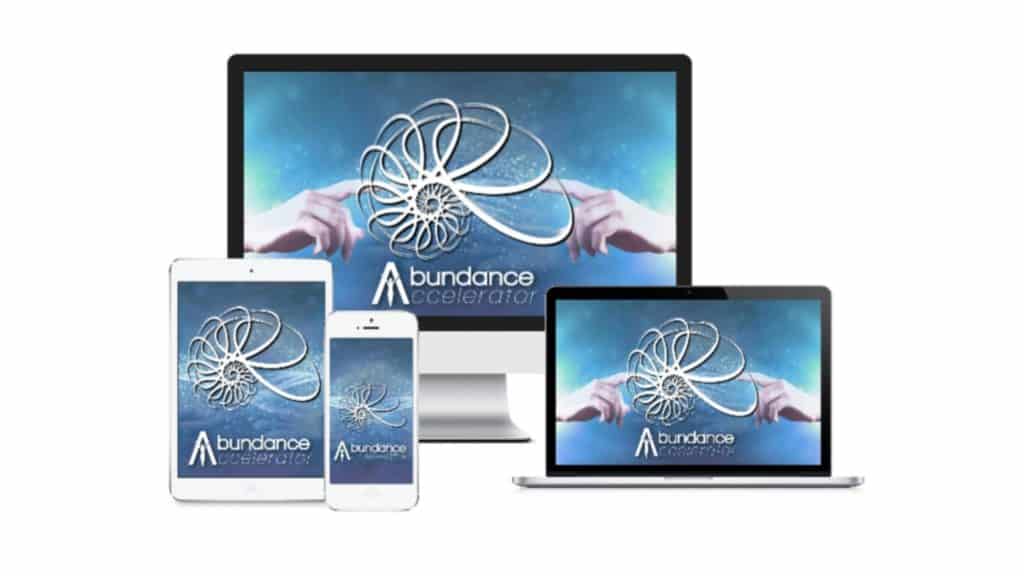 The Abundance Accelerator program