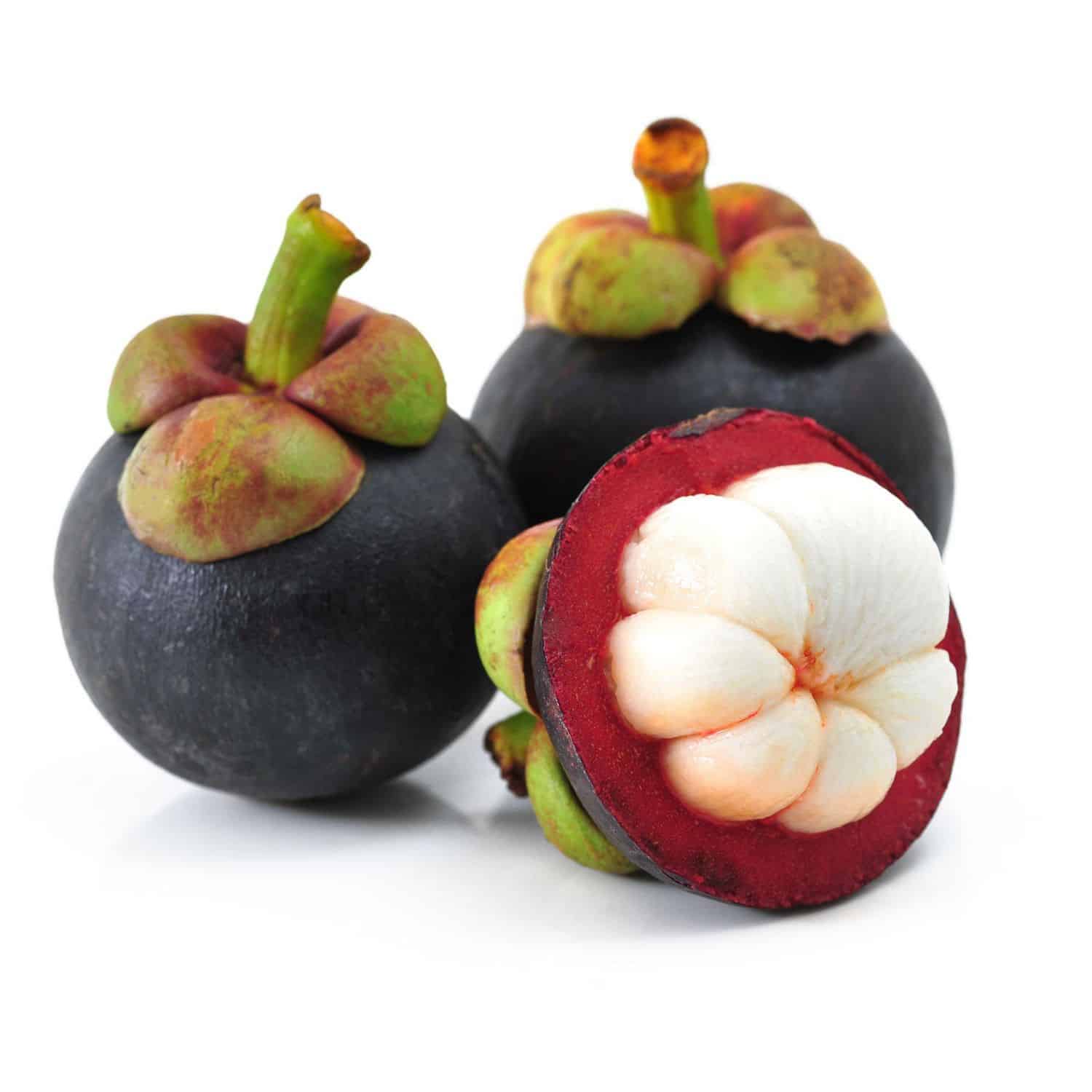 mangosteen