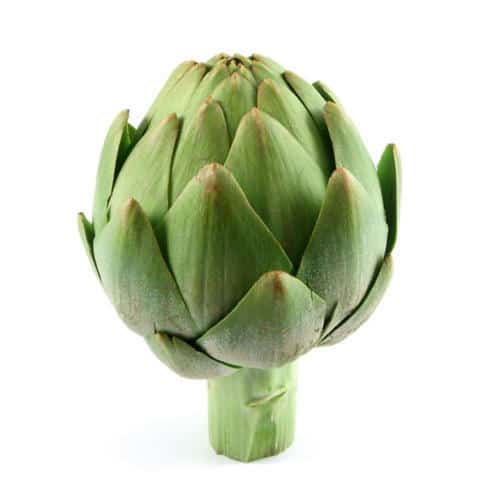 Artichoke