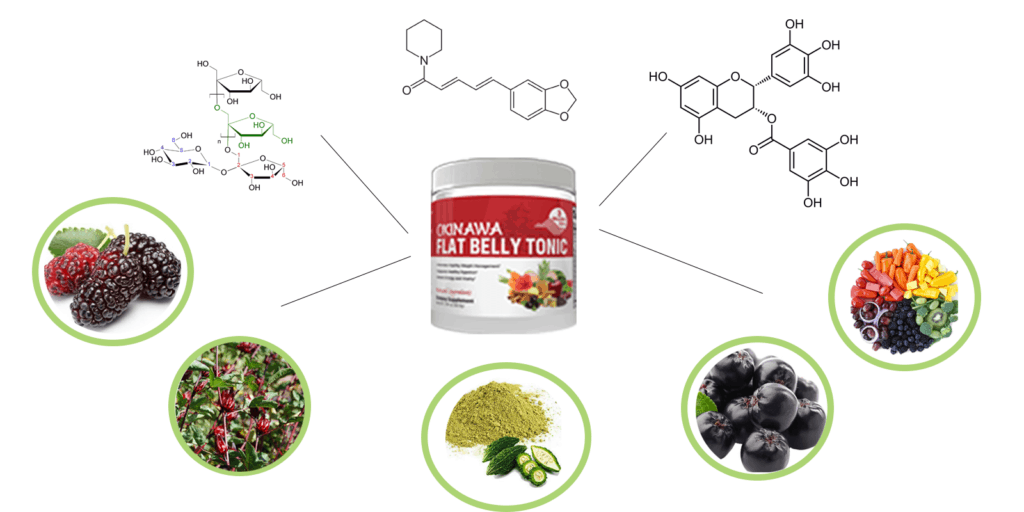 Okinawa Flat Belly Tonic ingredients