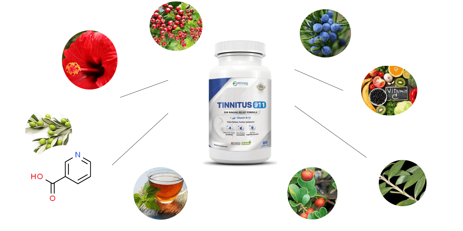 Tinnitus 911 ingredients