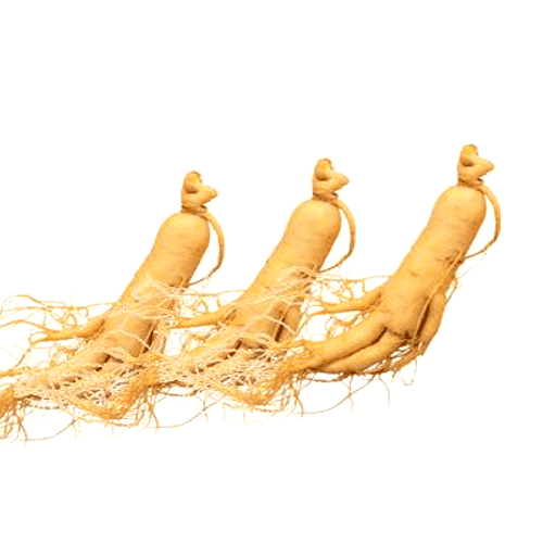 Ginseng