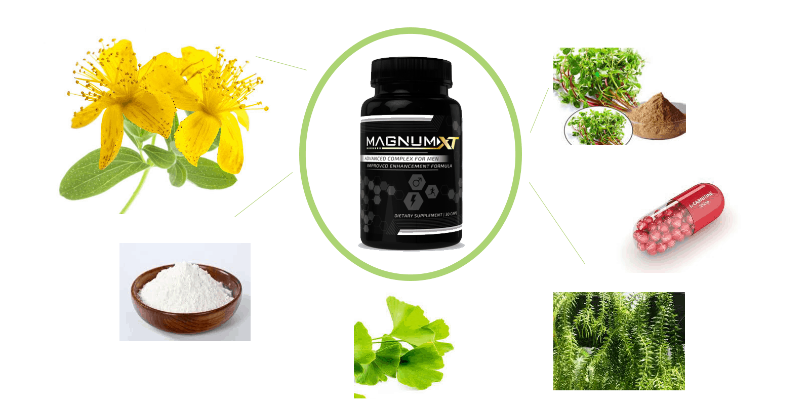 magnum xt ingredients