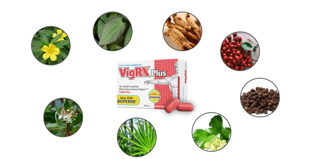VigRX Plus ingredients