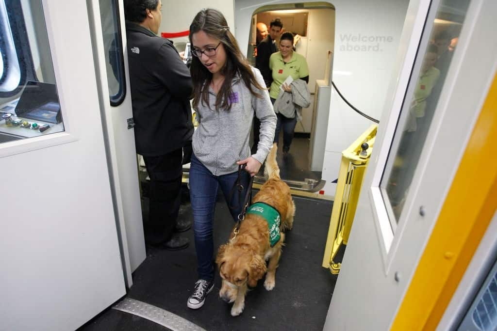 Alaska Airlines Announces Emotional Support Animal Ban