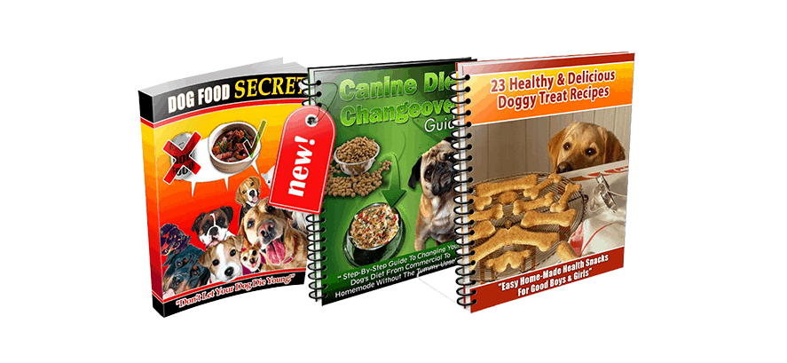 Dog Food Secrets Review