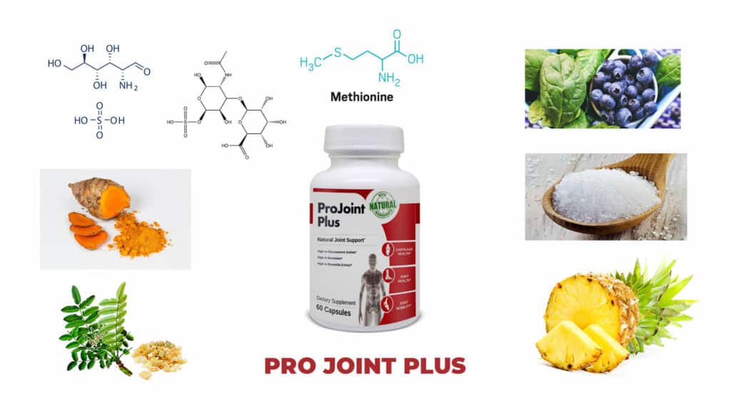 Ingredients-ProJoint Plus Supplement reviews