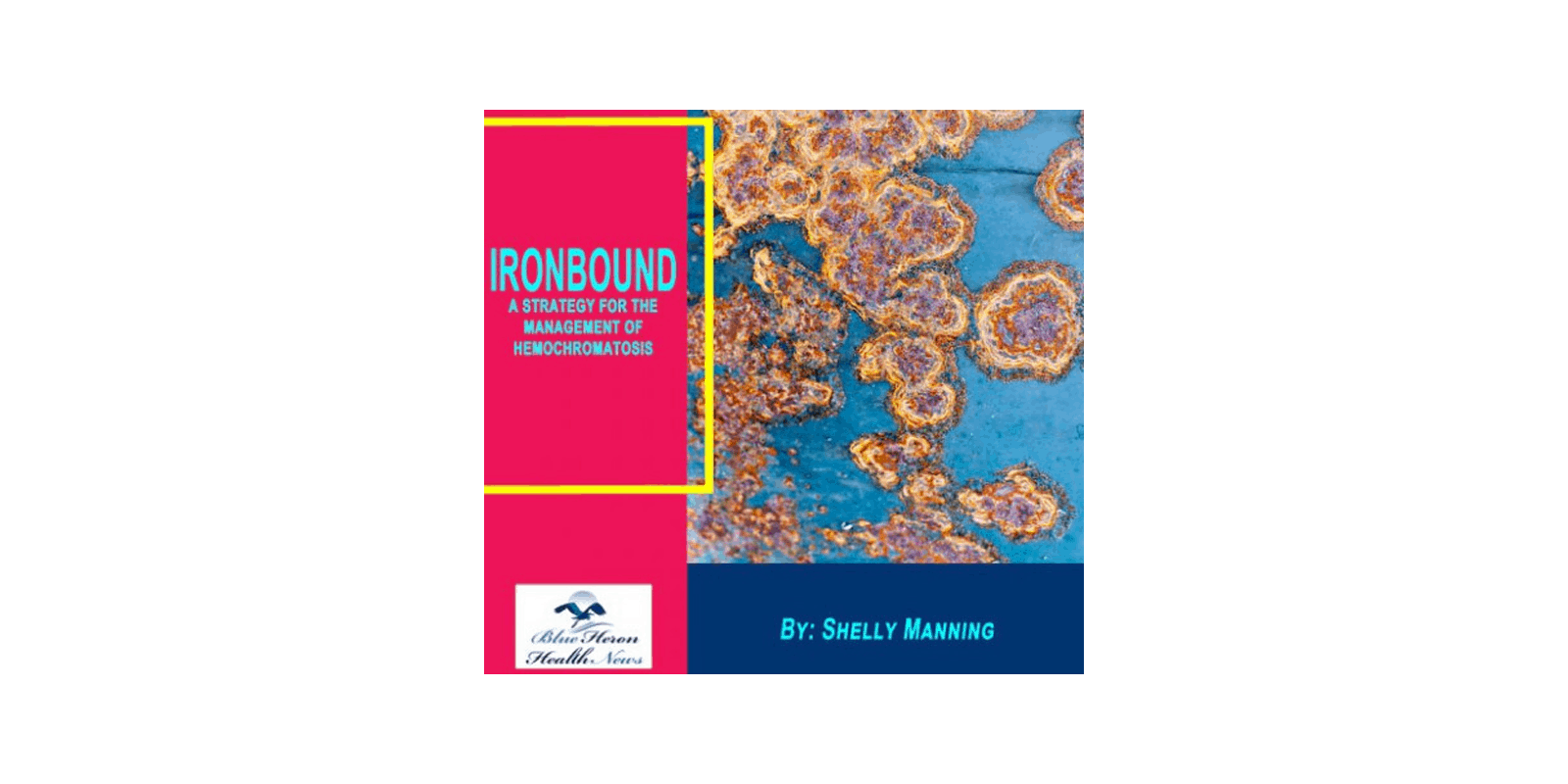 IronBound-shelly-manning-reviews