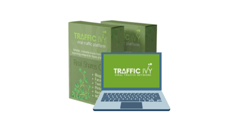 Traffic-ivy-review