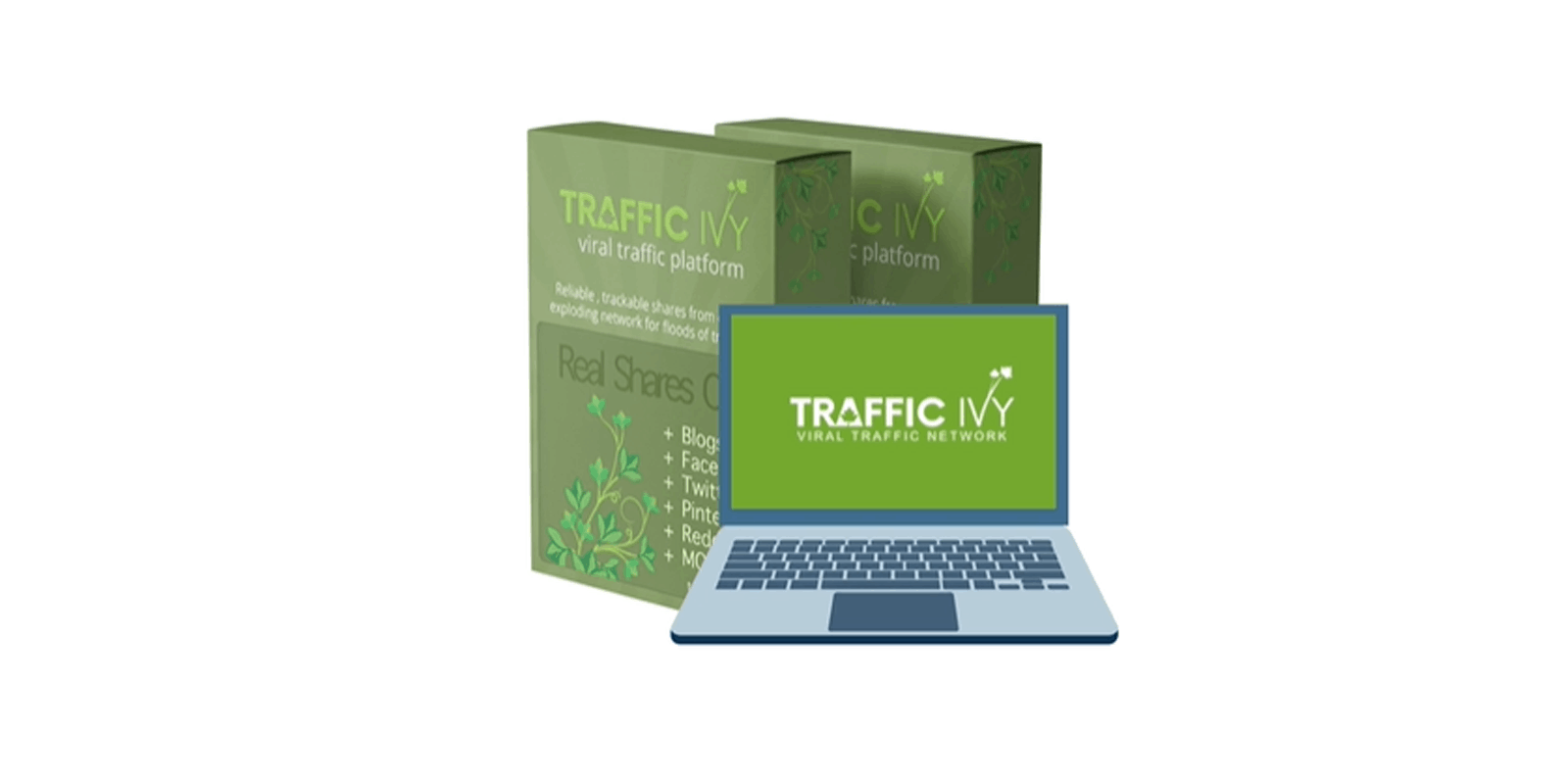 Traffic-ivy-review