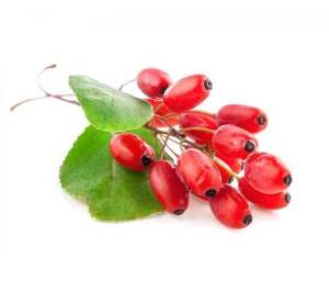 Berberine