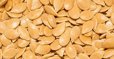 Cucurbita Pepo (Pumpkin) Seed Powder