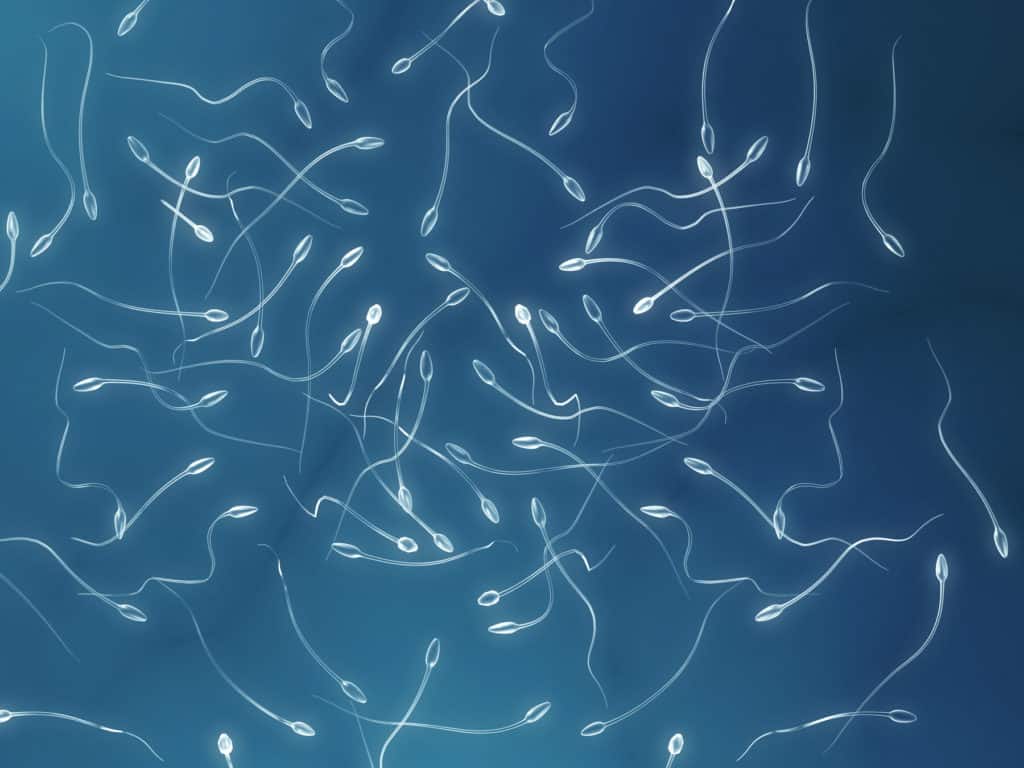 Epidemiologist Warns Of Falling Sperm Levels In Men 