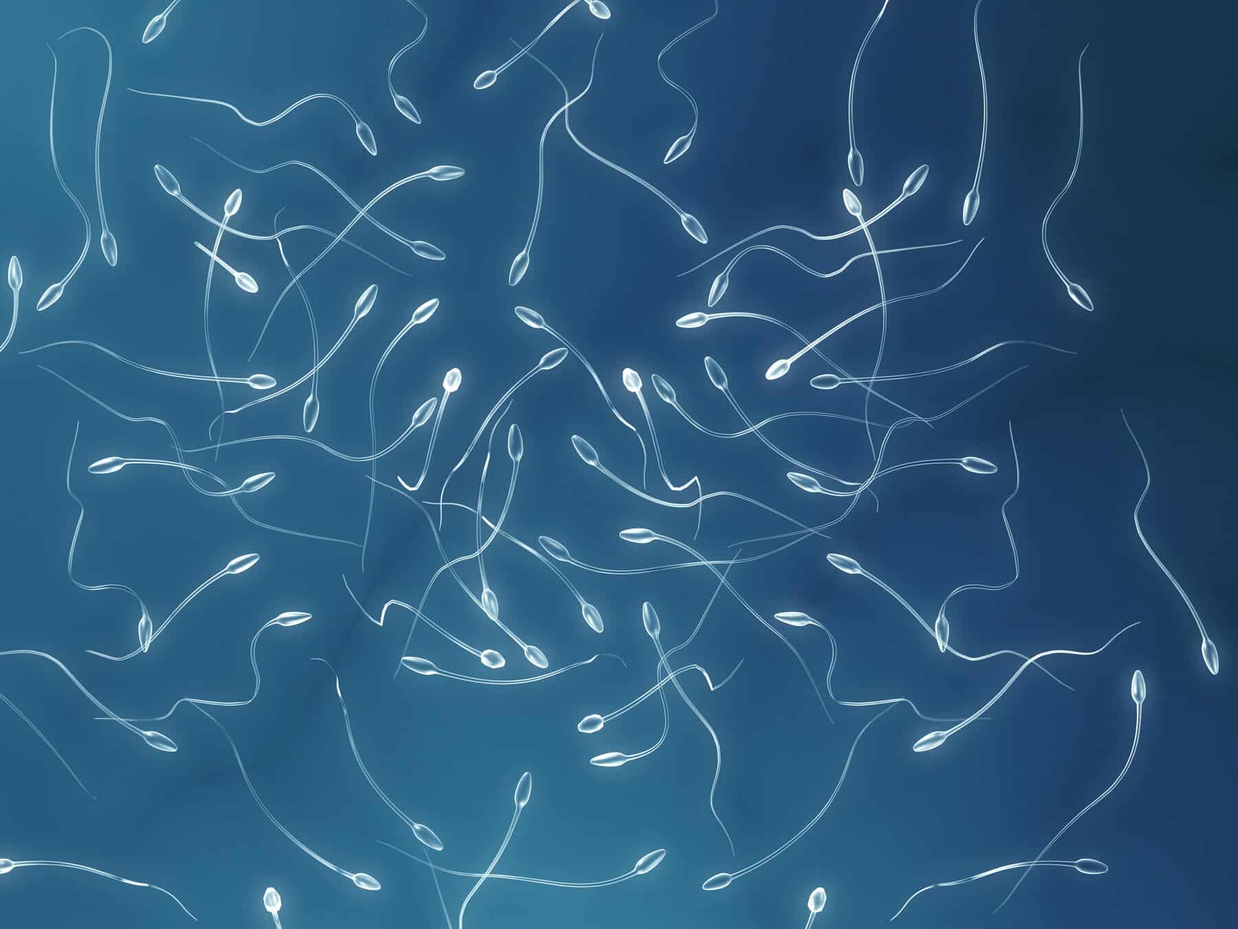 Epidemiologist Warns Of Falling Sperm Levels In Men