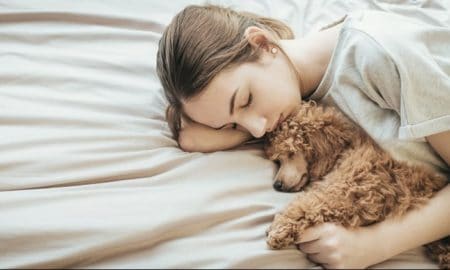 Bedtime With A Pet Will Not Have A Negative Impact On The Sleep Quality Of Children