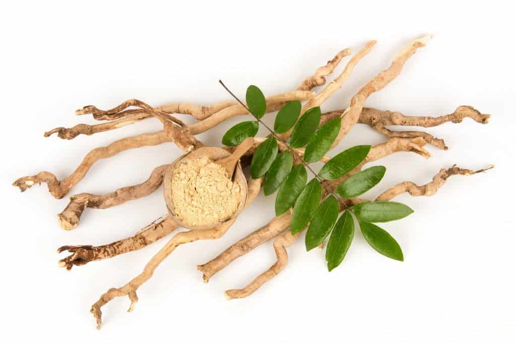 Eurycoma Longifolia Root Extract