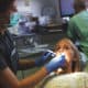 The Use Of Opioids May Be Harmful After A Dental Treatment