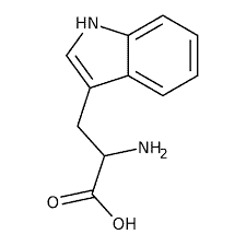 Tryptophan