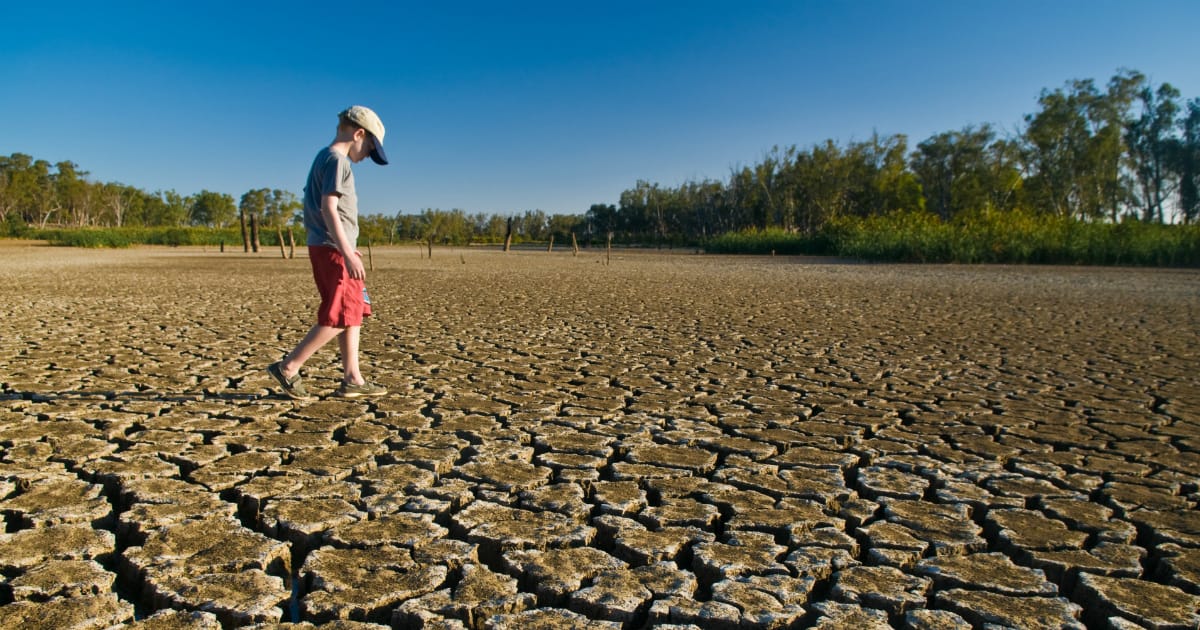Climate Changes Are Causing Deaths Due To Increase In Temperature