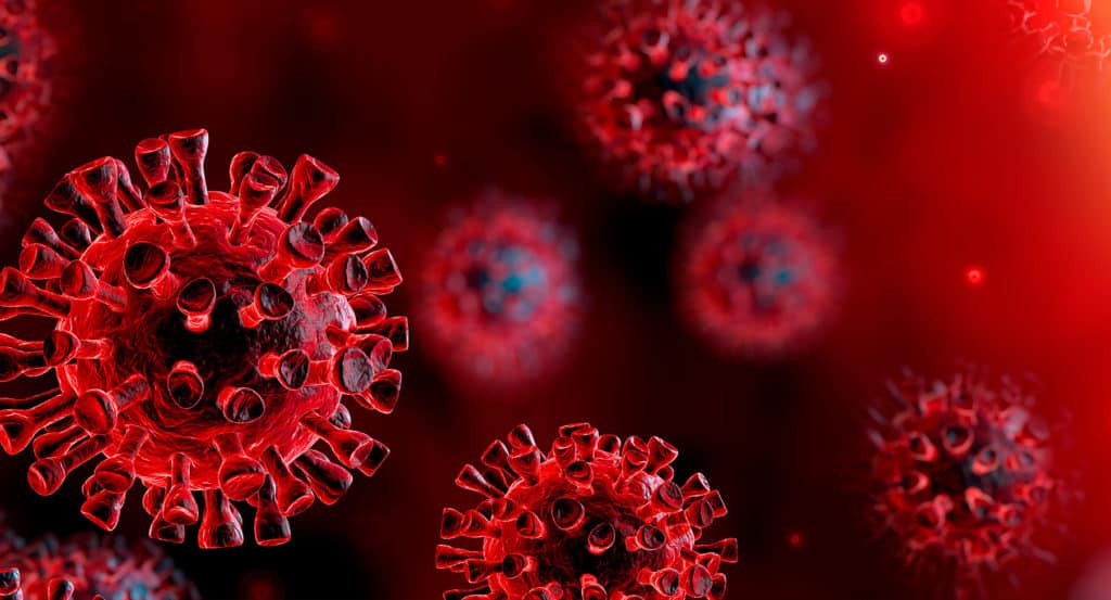 Coronavirus Infections In Animals May Be More Widespread Than Previously Considered