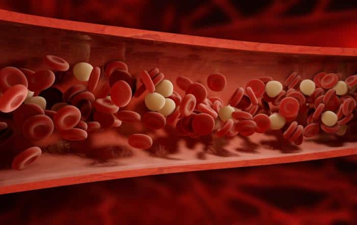 Blood Immunological And Coagulation Factors May Play A Role In Psychosis