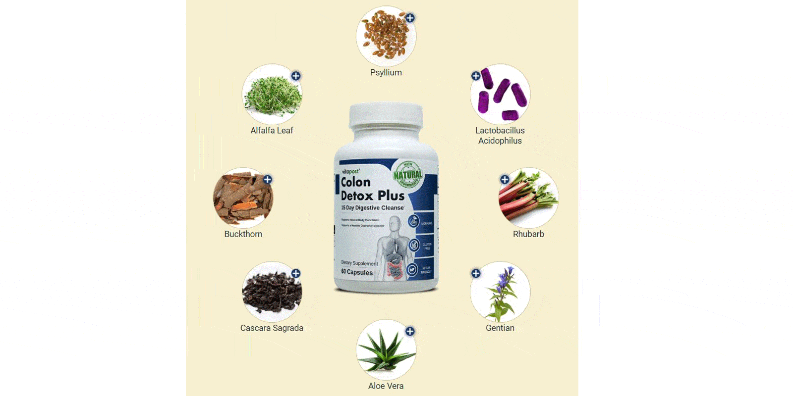 Colon Detox Plus Ingredients