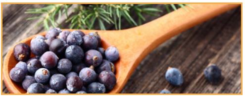 Altai Balance Ingredients - Juniper Berries