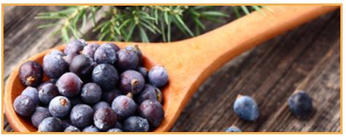 Juniper Berries