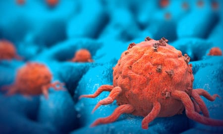 To Hold-On Cancer Cells Consume Themselves