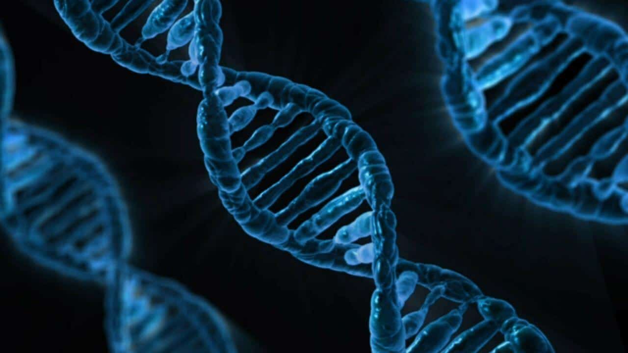 New Technique Illuminates DNA Helix