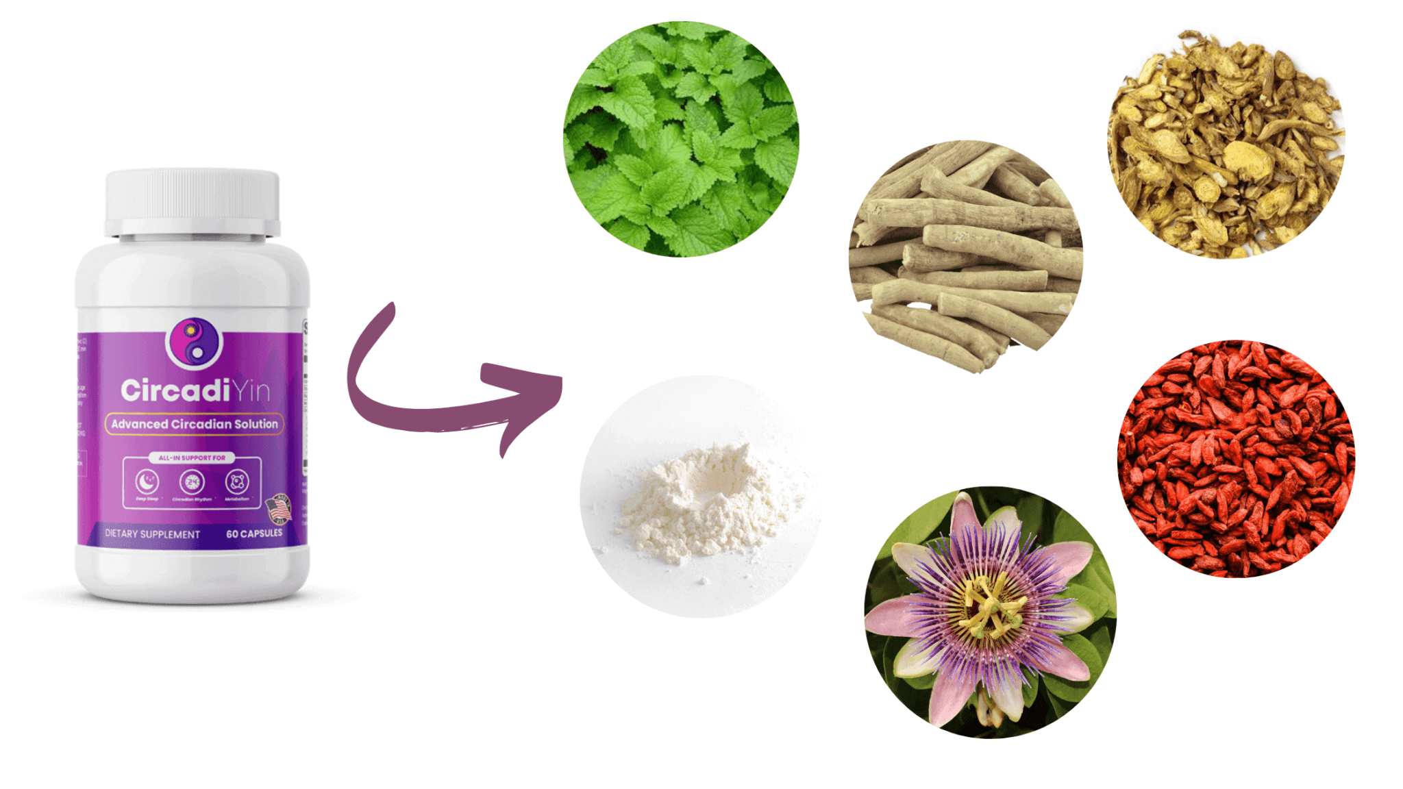 CircadiYin Ingredients