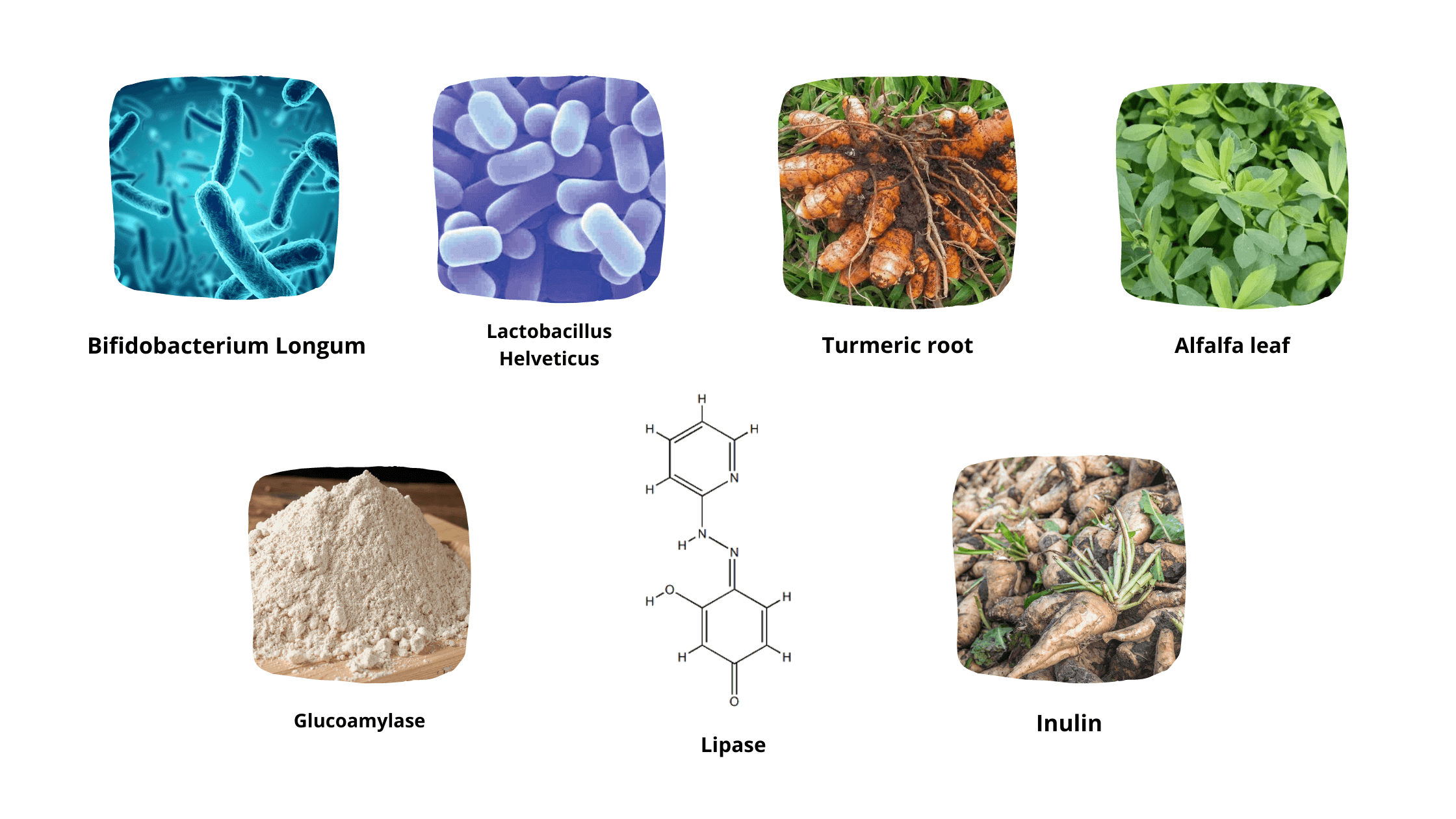 Floralite Ingredients