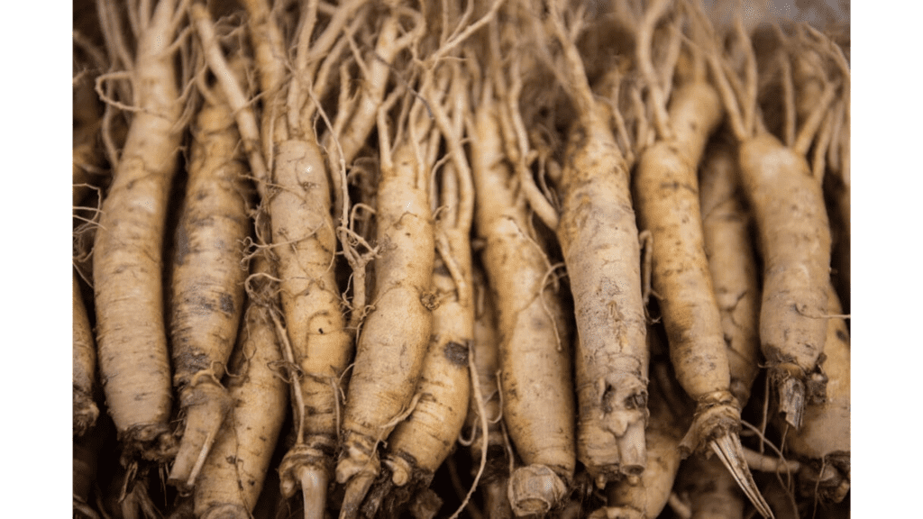 Importance Of White Korean Ginseng In Weight Loss And How To Use It!