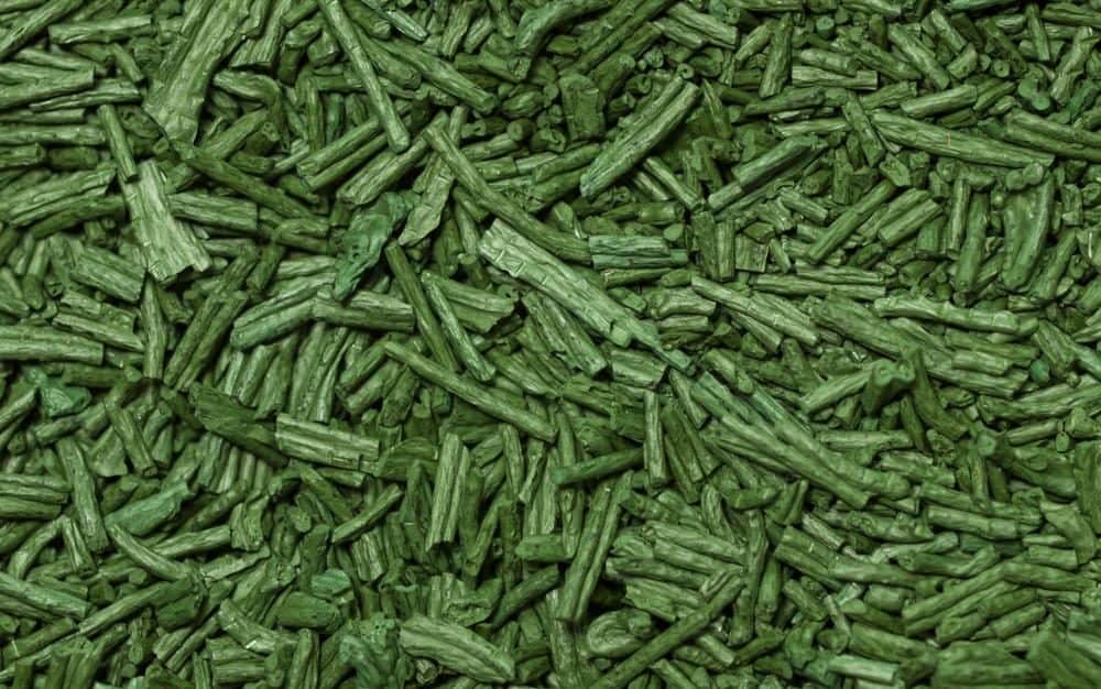 Man Greens Ingredient 4 Spirulina