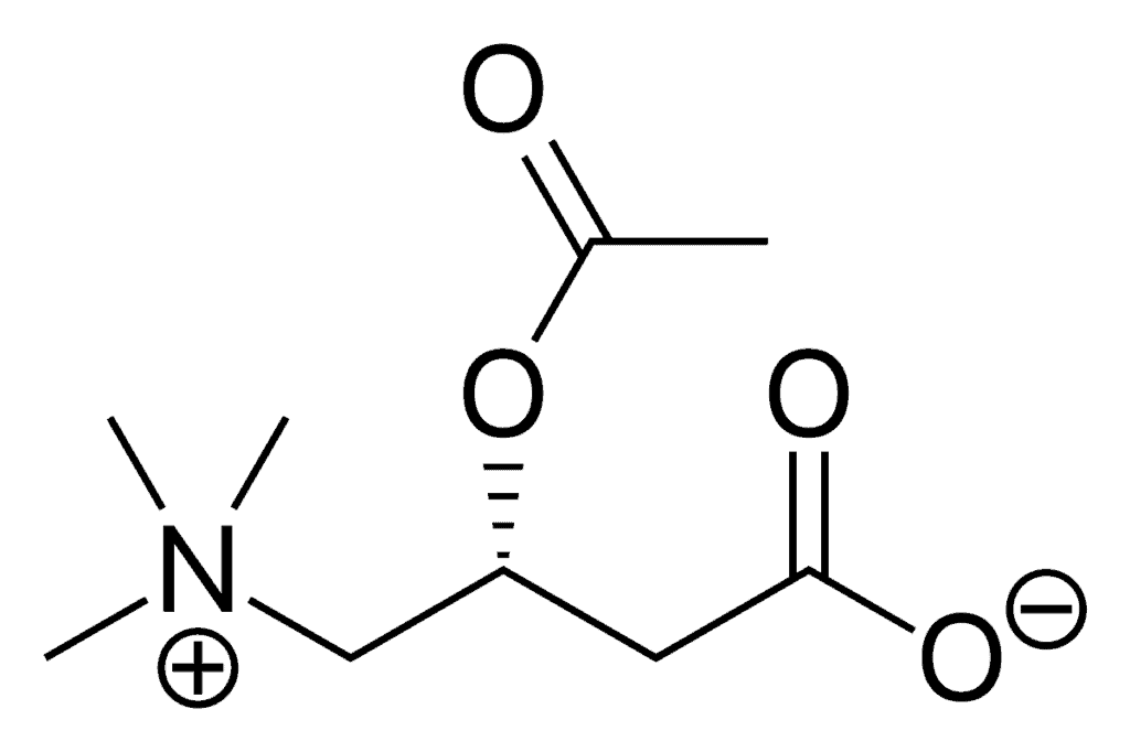 Memosurge ingredient 3 N-Acetyl-L-Carnitine