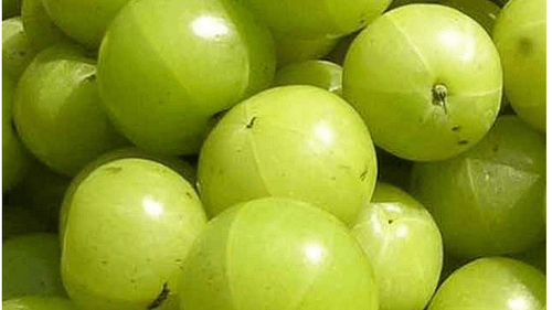 Mitoboost ingredient 5 Amla Fruit