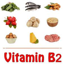 Nerve Renew Ingredient 1-Vitamin B2