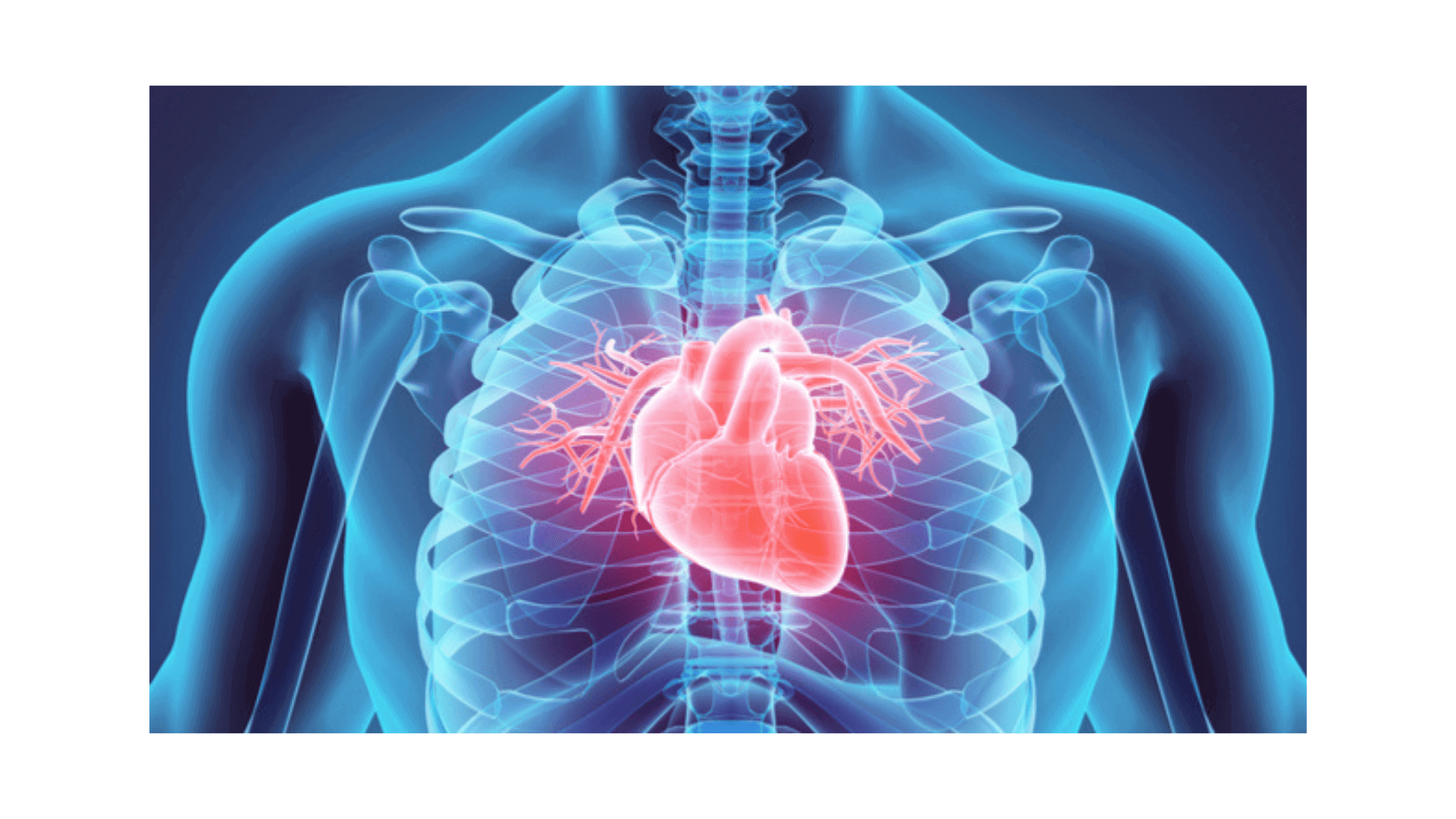 Prociva Heart Health