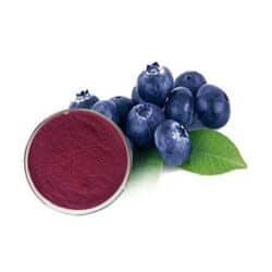 Zenith Labs Vision 20 ingredients 5-Bilberry Fruit Powder