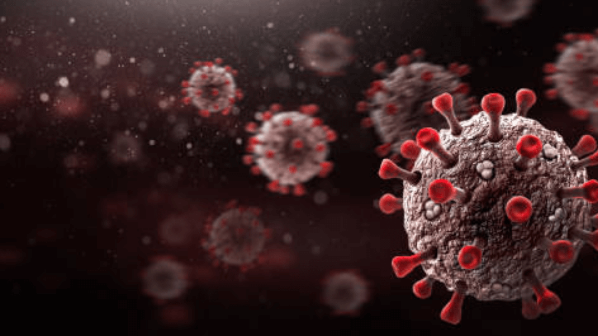 Fetal-Infection-Is-An-Unlikely-Scenario-With-Coronavirus