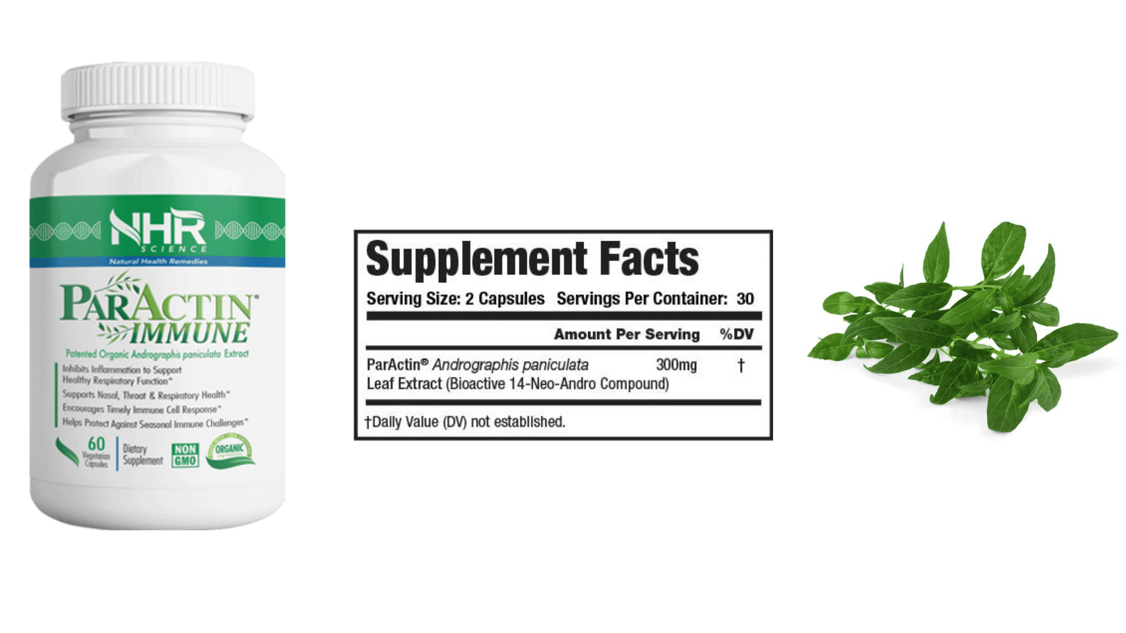 NHR Science Advanced Immune Support Ingredient - Andrographis Paniculata