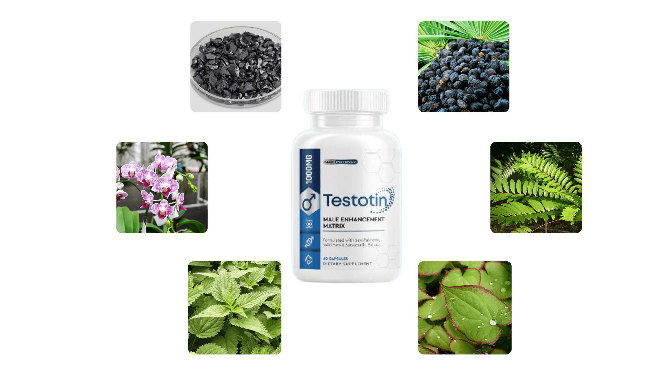 Testotin Ingredients