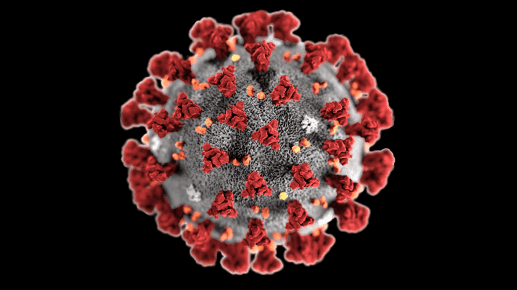 The Coronavirus Has Killed About 2% Of The World's Population