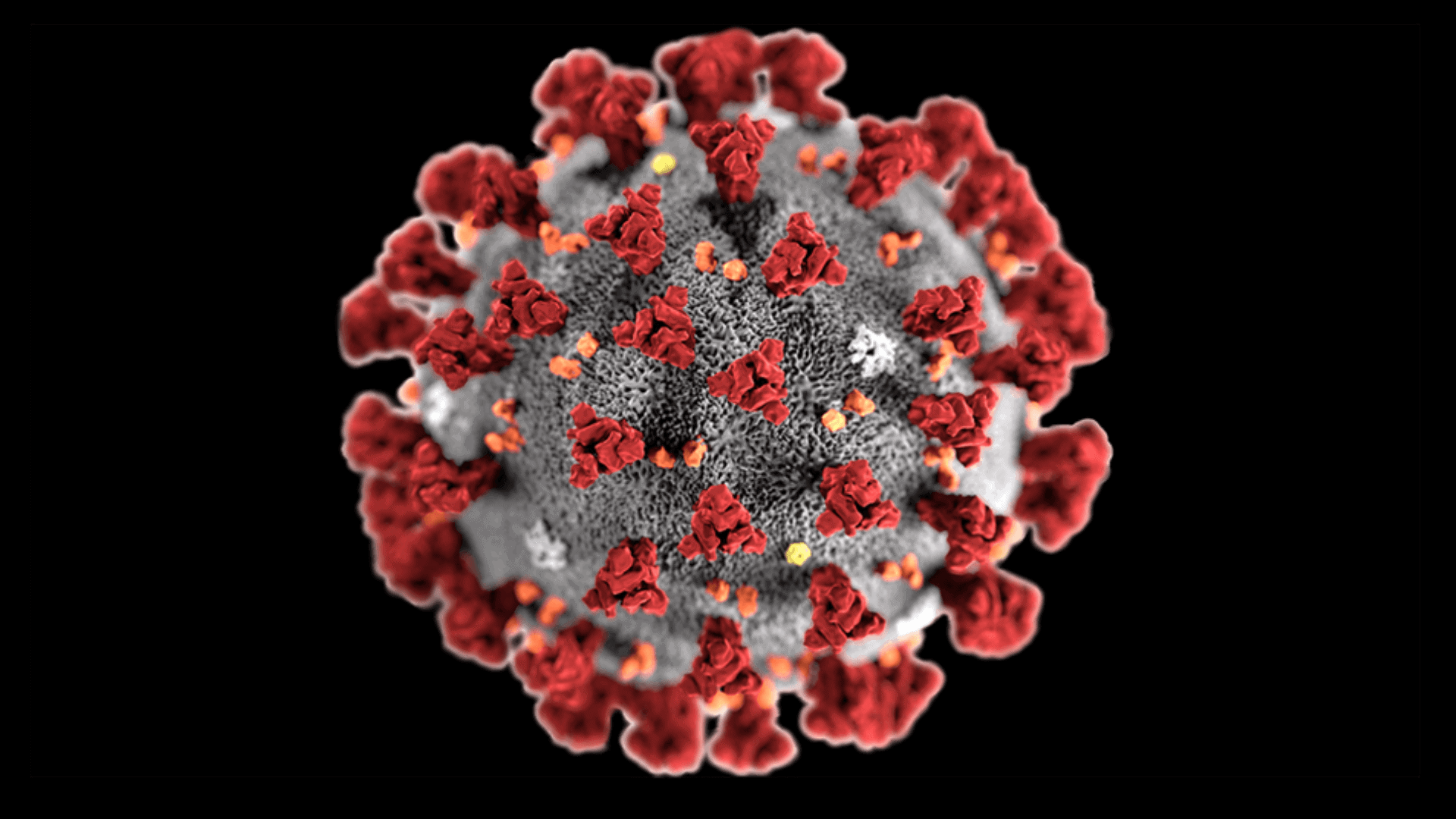 The-Coronavirus-Has-Killed-About-2-Of-The-Worlds-Population