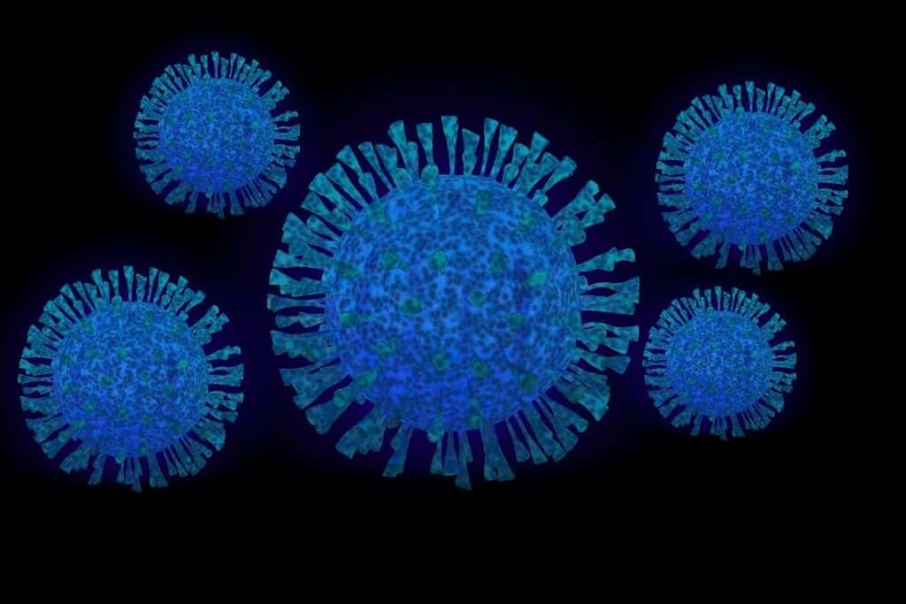 The Holiday Season May Cause The 5th Wave Of Coronavirus Pandemic